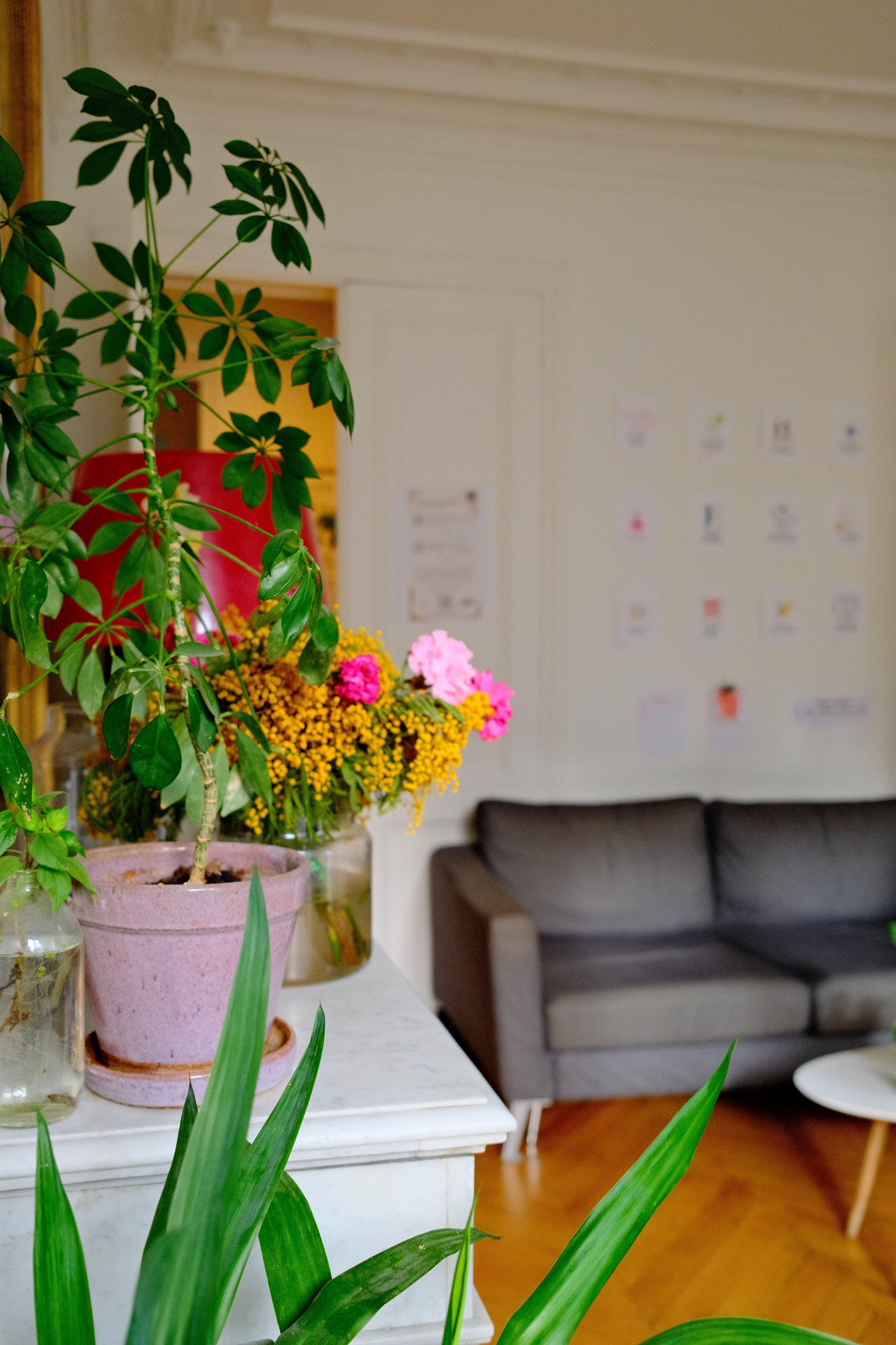 Plante en pot et bouquet de mimosa et fleurs roses posés sur une cheminée en marbre.